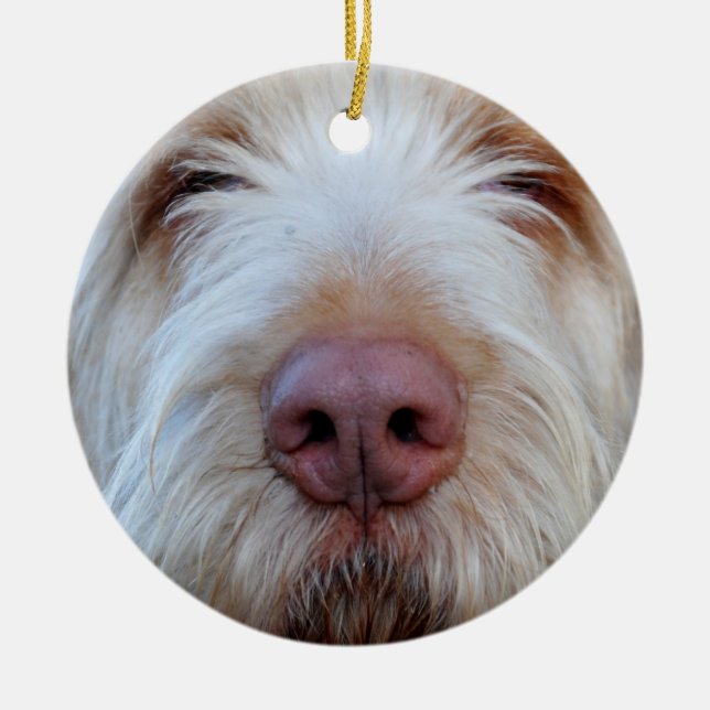 Ornement en céramique de Booper de Luigi (Devant)