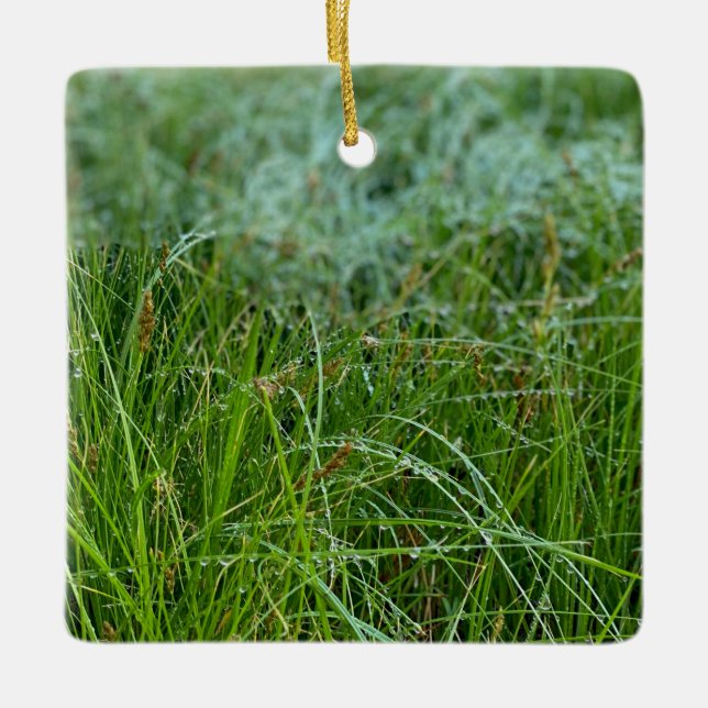 Ornement en céramique de Californie Meadow Sedge (Devant)