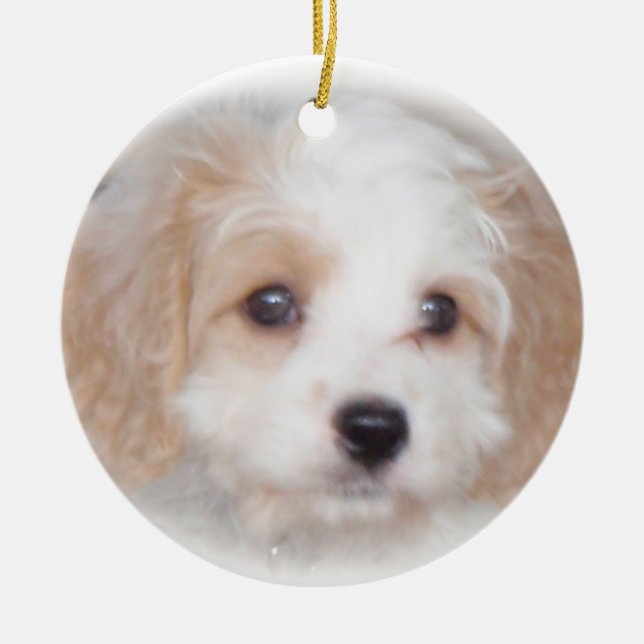 Ornement en céramique de chasse de Cavachon (Devant)