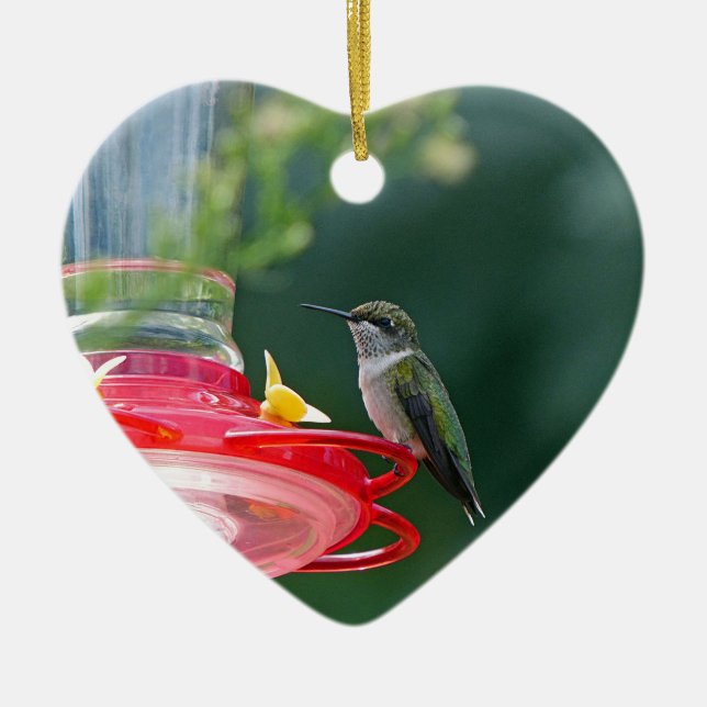 Ornement en céramique de colibri perché (Devant)