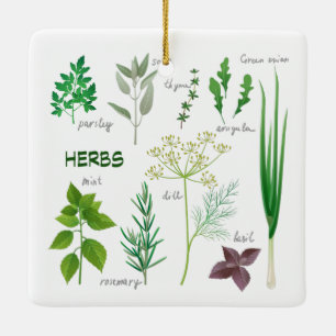 Ornement en céramique de conception de fines herbe