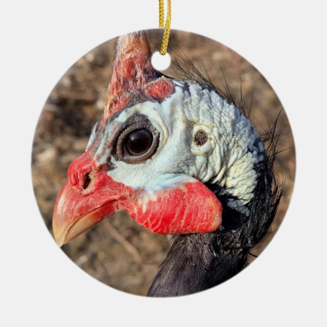 Ornement en céramique de Guinée Fowl (Devant)