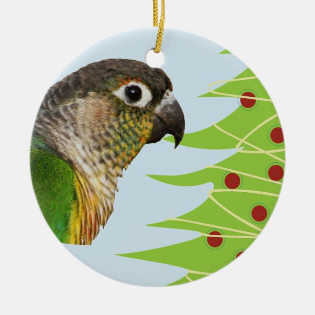 Ornement en céramique de perroquet pour les fêtes (Devant)