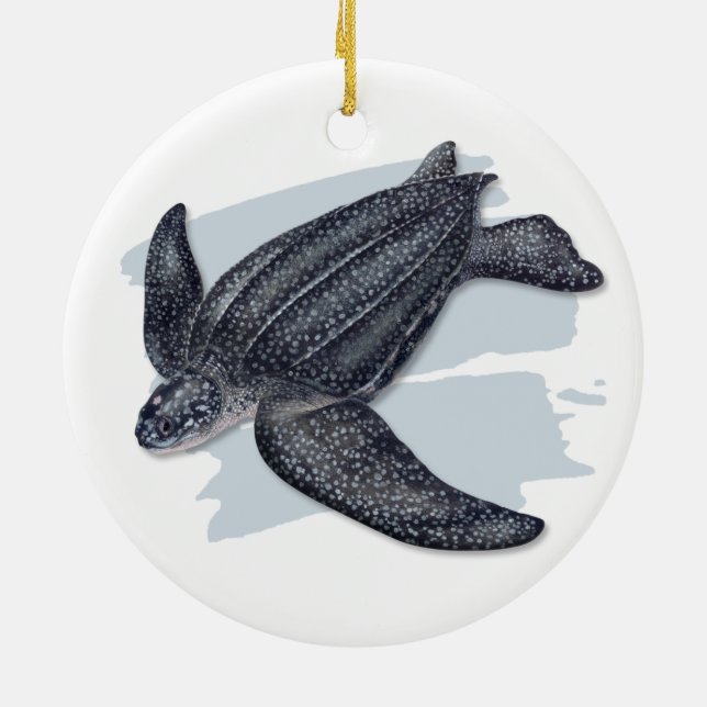 Ornement en céramique de tortue de mer de (Dos)