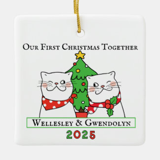 Ornement En Céramique Deux chats, premier Noël ensemble