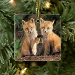Ornement En Céramique Deux Pups Red Fox devant leur Den