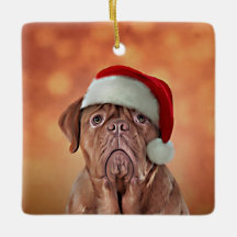 Dogue de Bordeaux en casquette rouge de Père Noël