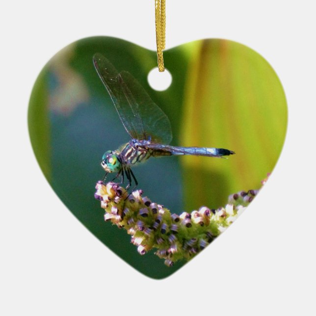 Ornement En Céramique Dragonfly aux yeux turquoises (Devant)