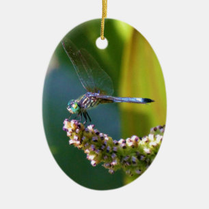 Ornement En Céramique Dragonfly aux yeux turquoises