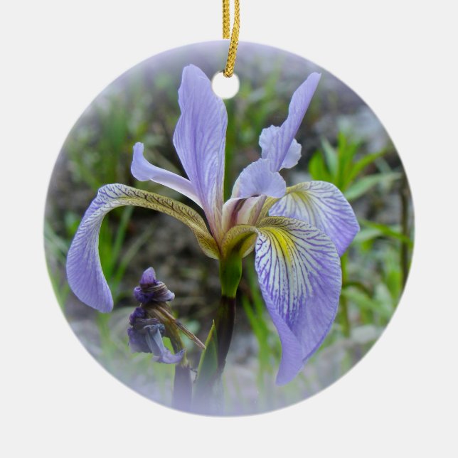 Ornement En Céramique Drapeau bleu - Iris sauvage (Devant)