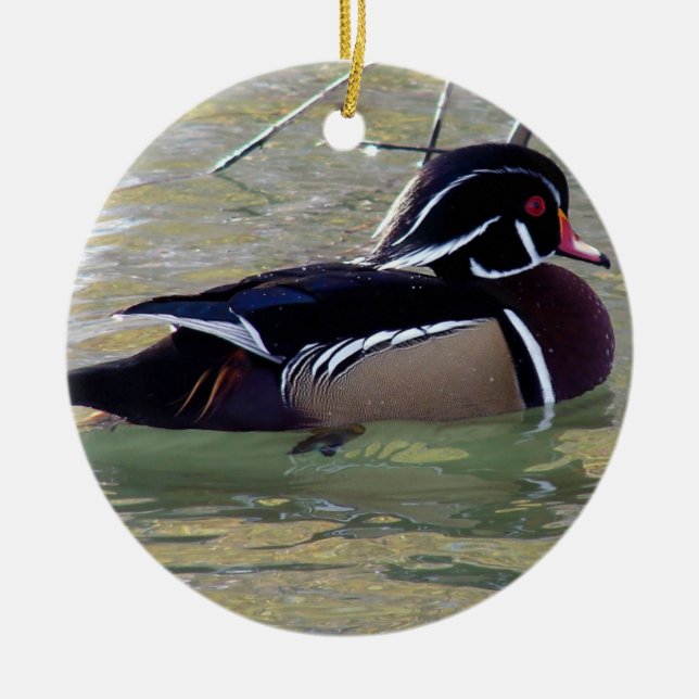 Ornement En Céramique Duck de bois Drake (Devant)