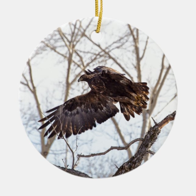Ornement En Céramique Eagle d'or en vol (Devant)