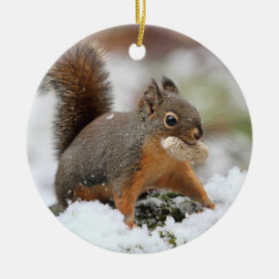 Ornement En Céramique Écureuil mignon dans la neige avec l'arachide