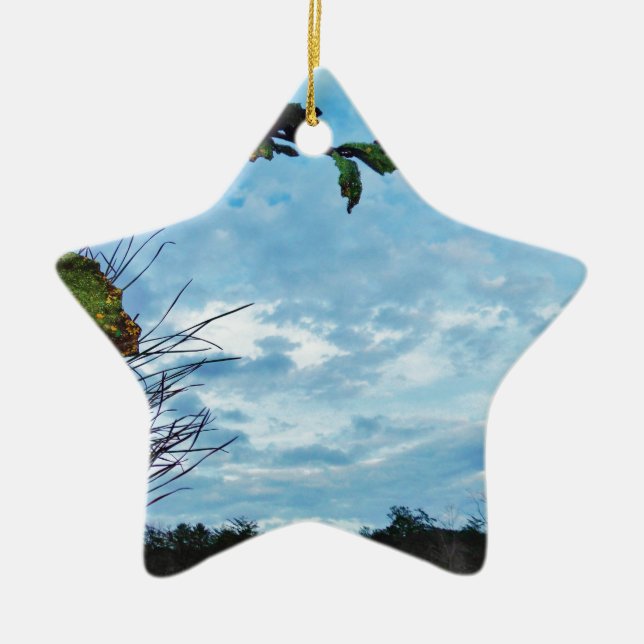 Ornement En Céramique Élégant Noël Holly, ciel bleu (Devant)