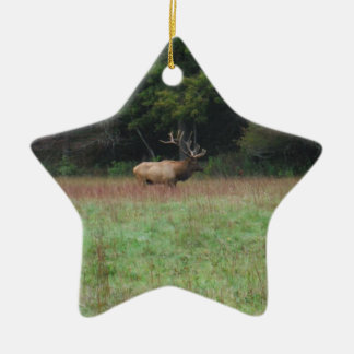 Ornement En Céramique Elk à 8 points à l'automne