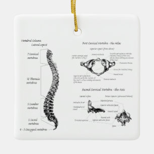 Ornement En Céramique Épine