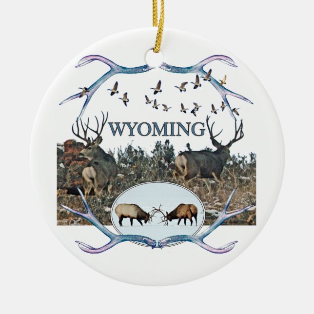 Ornement En Céramique Faune du WYOMING (Devant)