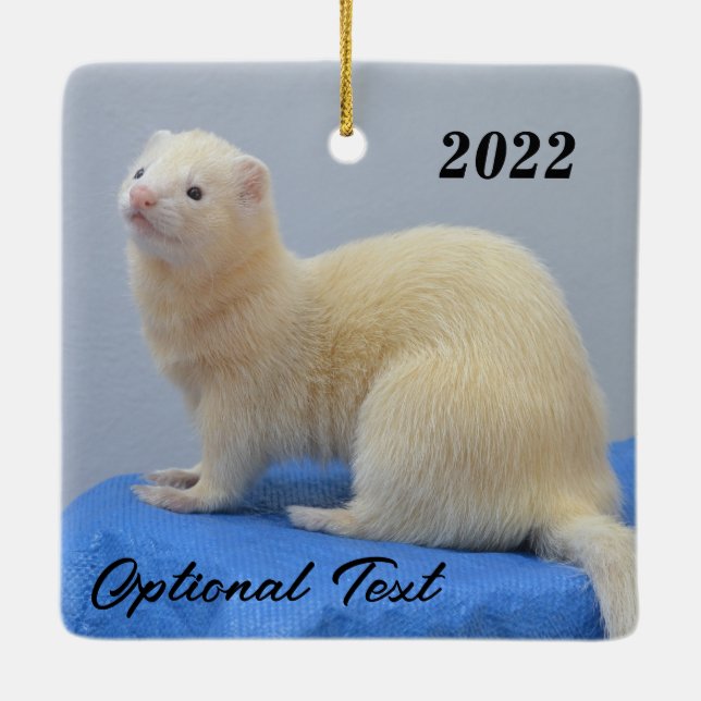 Ornement En Céramique Ferret pour animal de compagnie blanc personnalisé (Dos)