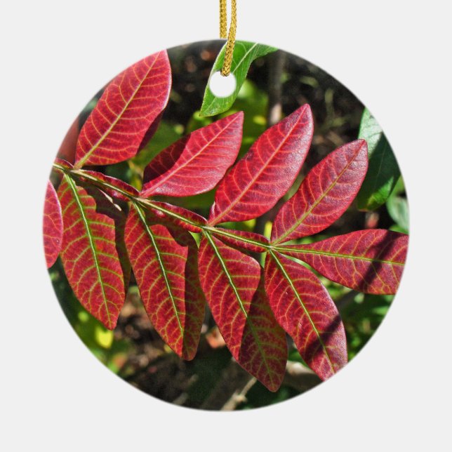 Ornement En Céramique Feuilles De Sumac À L'Automne (Devant)