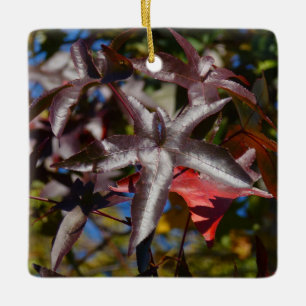 Ornement En Céramique Feuilles de Sweetgum à l'automne