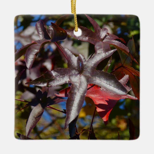Ornement En Céramique Feuilles de Sweetgum à l'automne (Devant)