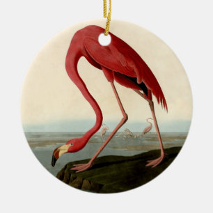 Ornement En Céramique Flamant rose américain d'Audubon