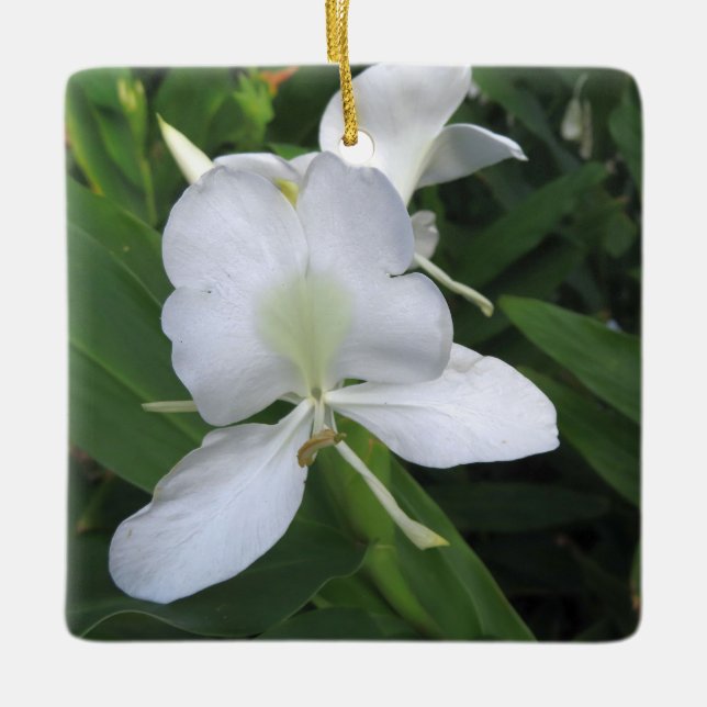 Ornement En Céramique Fleur de gingembre blanc hawaïen (Devant)