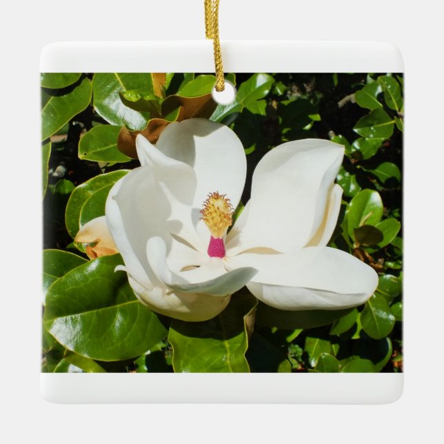Ornement En Céramique Fleur de Magnolia (Devant)