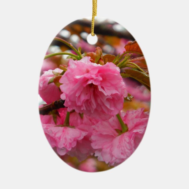 Ornement En Céramique Fleurs de fleurs de cerisier rose chaud (Devant)