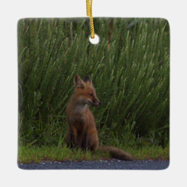 Ornement En Céramique Fox Photo Ornament  (Devant)