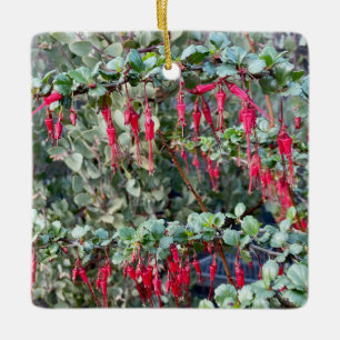 Ornement En Céramique Fuchsia