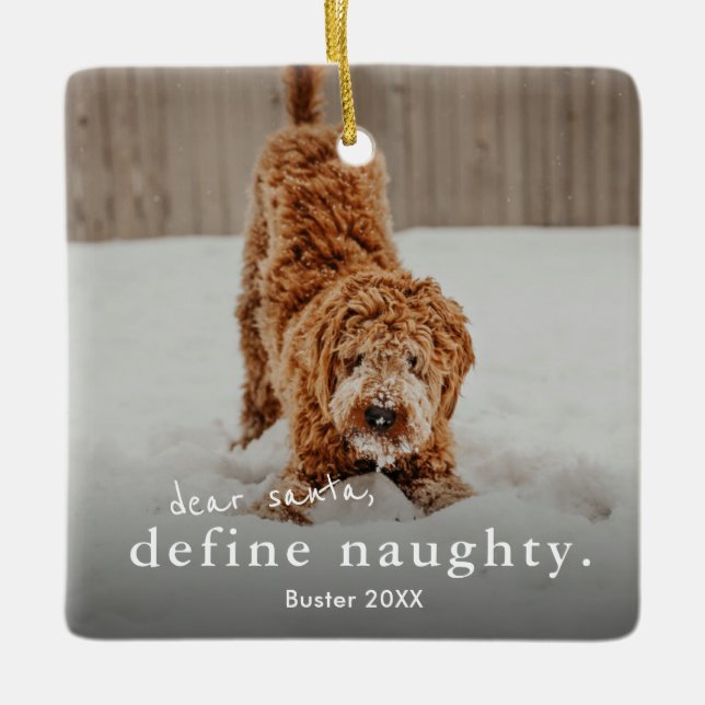 Ornement En Céramique Funny Naughty Pet 2 Photo Noël (Devant)