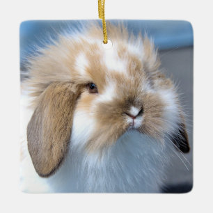 Ornement En Céramique Fuzzy Holland Mini Dwarf Lop Bunny Rabbit