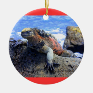 Ornement En Céramique Galapagos