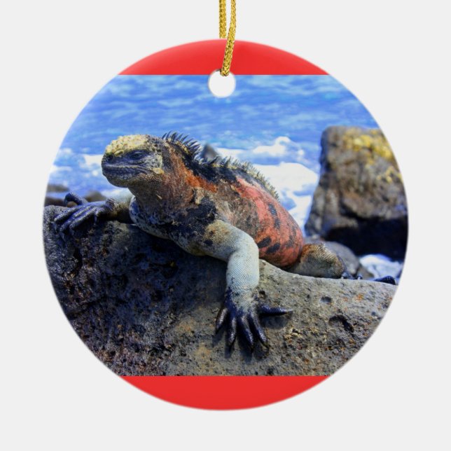 Ornement En Céramique Galapagos (Devant)