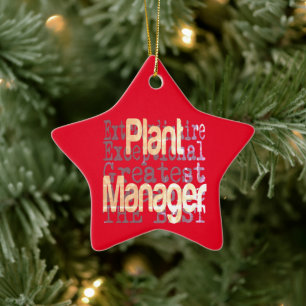 Ornement En Céramique Gestionnaire de plantes Extraordinaire
