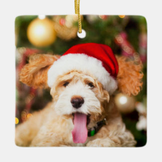Ornement En Céramique Goldendoodle ornament de Noël Pierre
