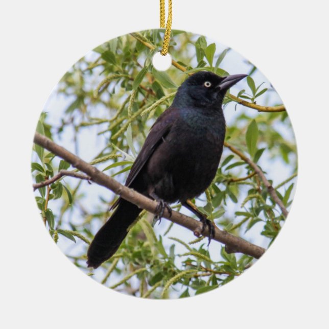 Ornement En Céramique Grackle commun (Devant)