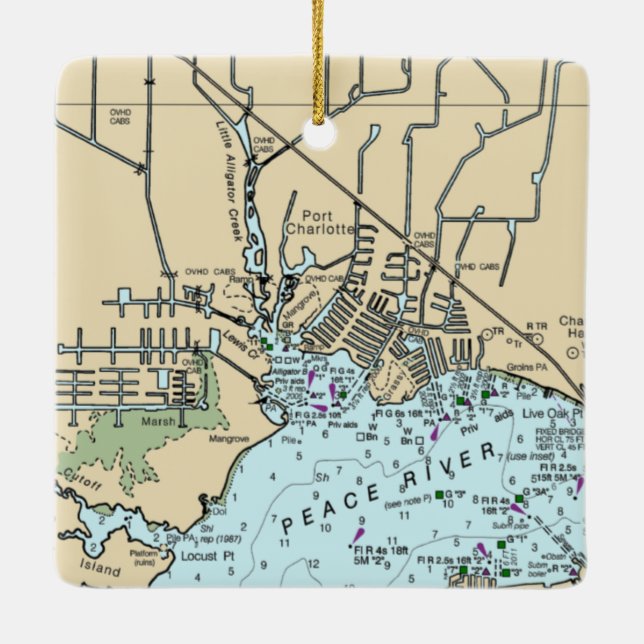 Ornement En Céramique Graphique de Port Charlotte Florida (Dos)