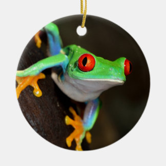 Ornement En Céramique Grenouille à yeux rouges tropicale - Agalychnis Ca