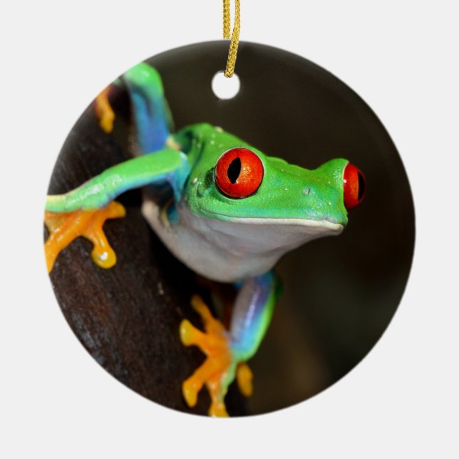Ornement En Céramique Grenouille à yeux rouges tropicale - Agalychnis Ca (Devant)