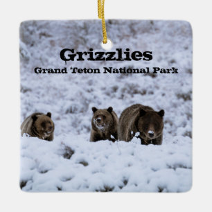 Ornement En Céramique Grizzly Bears in Snow Grand Teton National Park