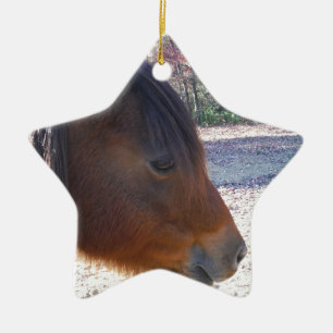 Ornement En Céramique Gros plan sur le cheval Brown, Little Brown Pony