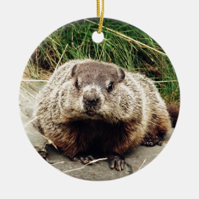 Ornement En Céramique Groundhog (Devant)
