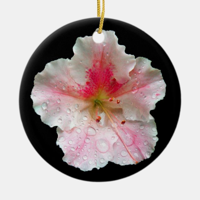 Ornement En Céramique Gumpo rose Azalea (Devant)