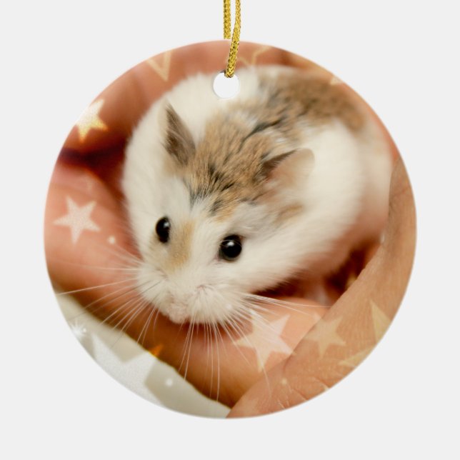 Ornement En Céramique Hammyville - Cute Hamster (Devant)