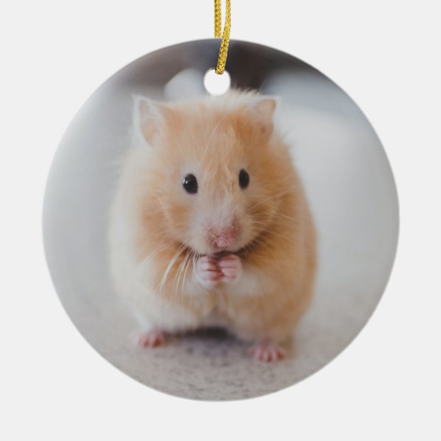 Ornement En Céramique Hamster mignon (Devant)