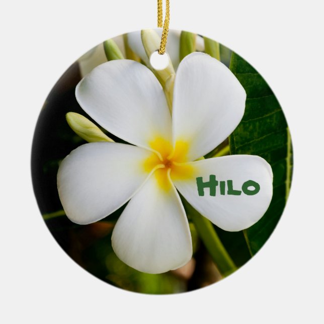 Ornement En Céramique Hawaiian Keepsaké (Devant)