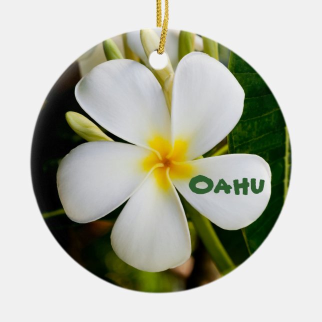 Ornement En Céramique Hawaiian Keepsaké (Devant)
