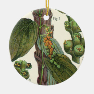 Ornement En Céramique Herbes et épices alimentaires vintage, plante de p